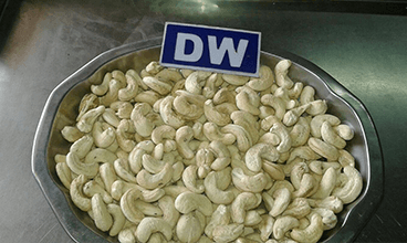 DW