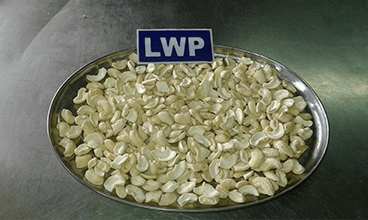 LWP