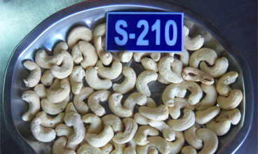S-210