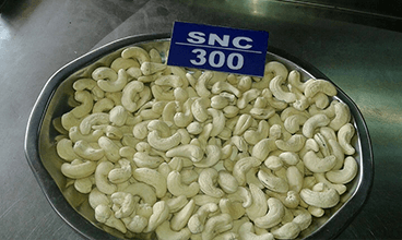 SNC-300