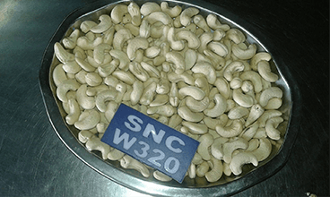 SNC-320
