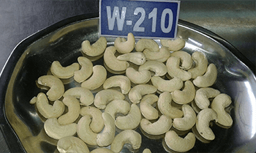 W-210