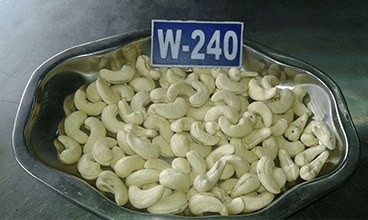 W-240