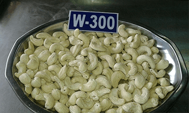 W-300