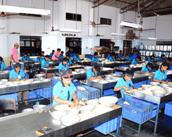 cashews cutting-2