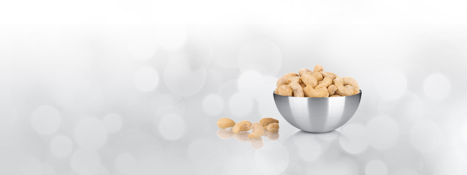 shankaranarayana cashews