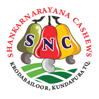 snc