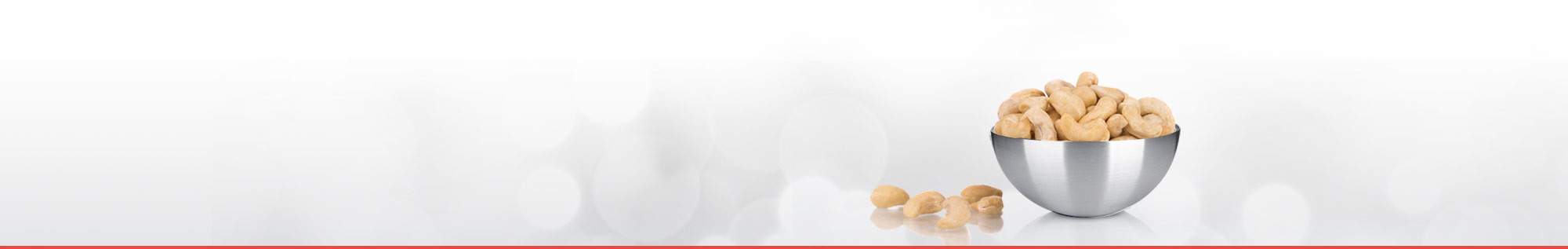 shankaranarayana-cashews